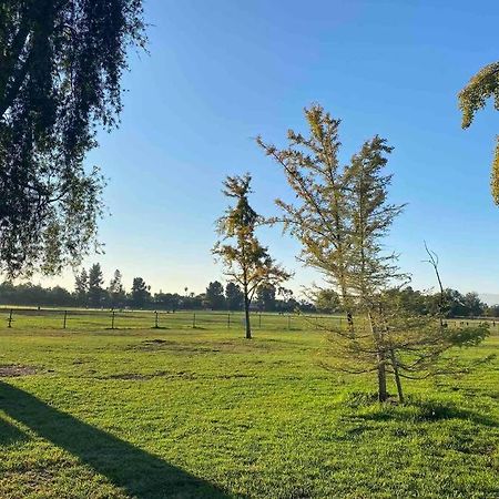 Villa Hidden Gem La 2Bd House With Dreamy Backyard Los Angeles Exterior foto